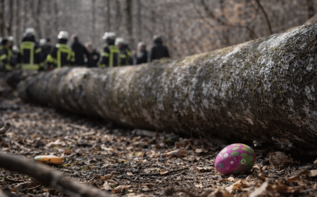 Bildschirmfoto 2026-04-06 um 11.13.40