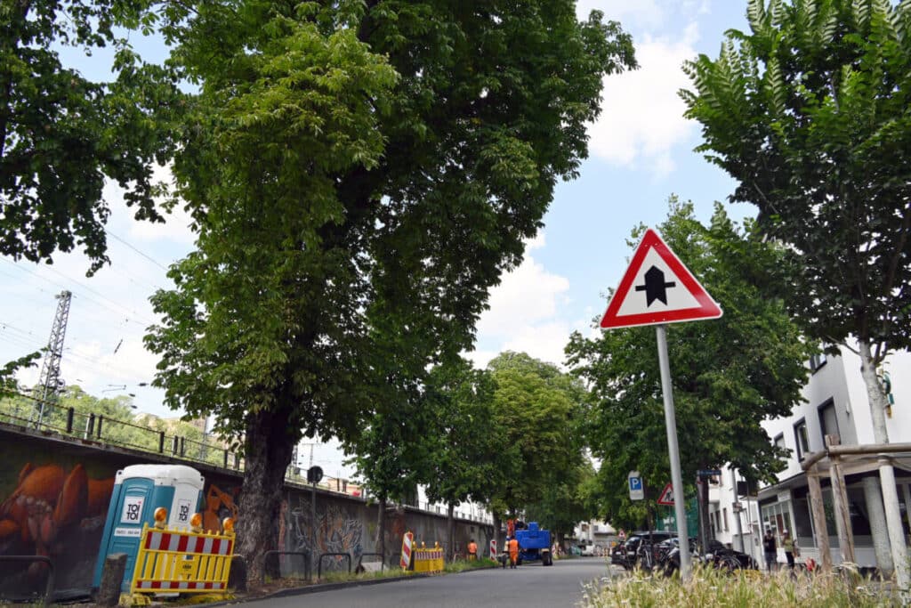 Rosskastanie Frankenstraße Koblenz