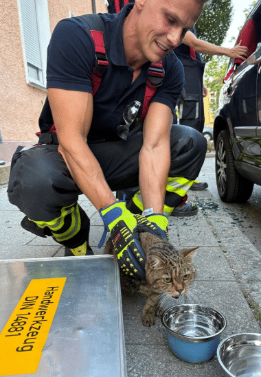 Hund und Katze aus überhitztem Auto gerettet
