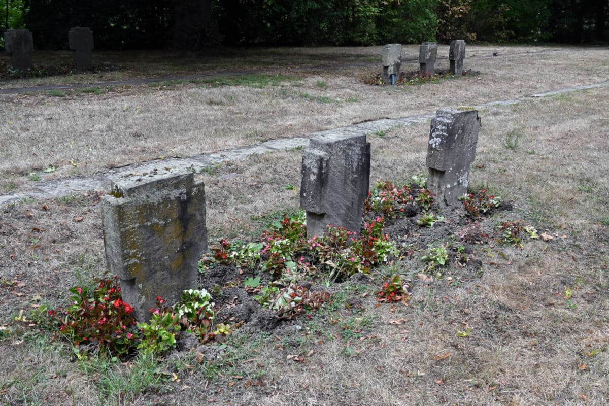 Wildschweine verwüsten Gräber auf Koblenzer Hauptfriedhof