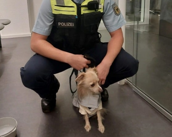 Hund am Bremer Hauptbahnhof ausgesetzt