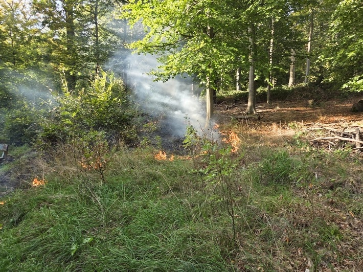 Brand im Lagener Stadtwald